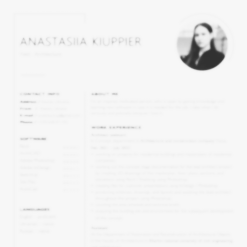 Screenshot preview of a professional CV document